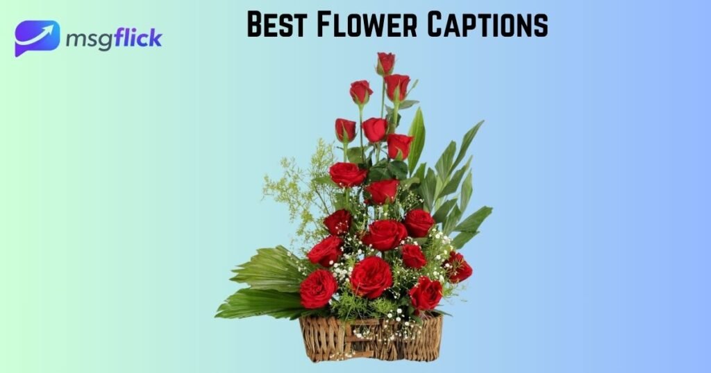 Best Flower Captions