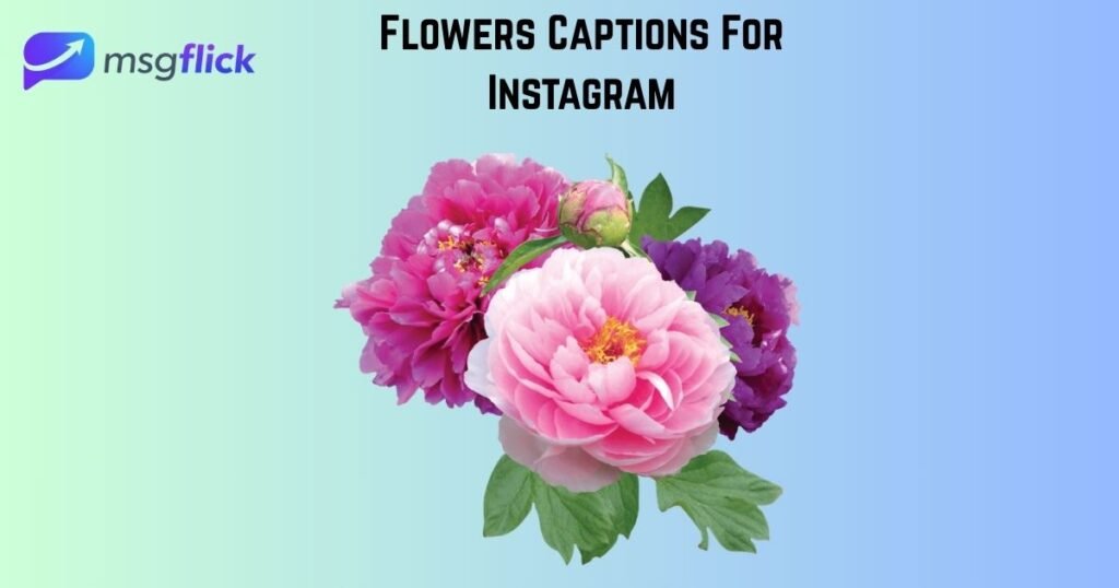 Flowers Captions For Instagram